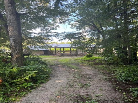 Acreage Header Real Estate