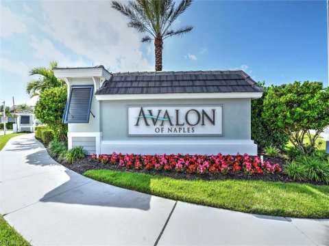 Avalon Naples Florida Real Estate