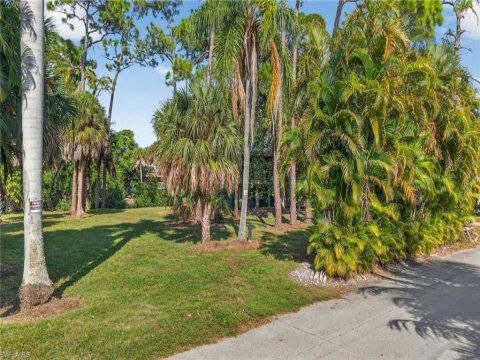 Avion Park Naples Real Estate