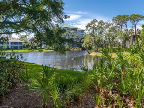 Bonita Bay Bonita Springs Florida Condos for Sale