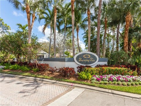 Bonita Bay Bonita Springs Florida Homes for Sale