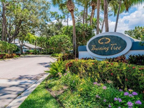 Bonita Bay Bonita Springs Florida Real Estate