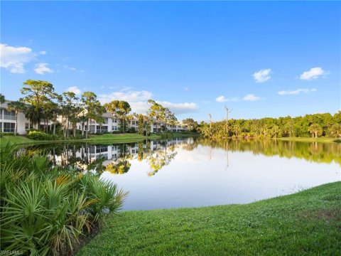 Bonita Bay Bonita Springs Florida Real Estate