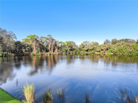 Bonita Bay Bonita Springs Real Estate