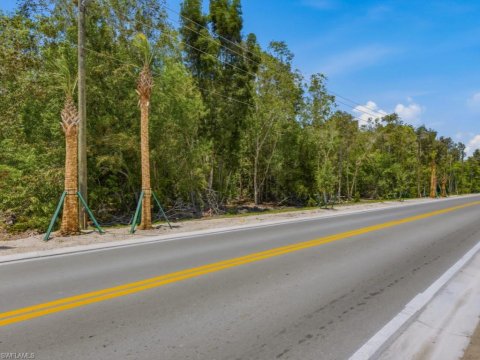 Bonita Springs Bonita Springs Florida Real Estate