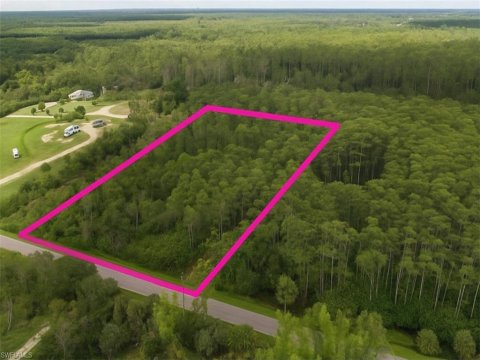 Burgundy Farms Estero Real Estate