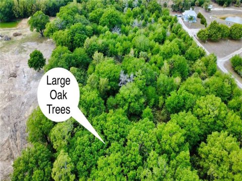 Burgundy Farms Estero Real Estate
