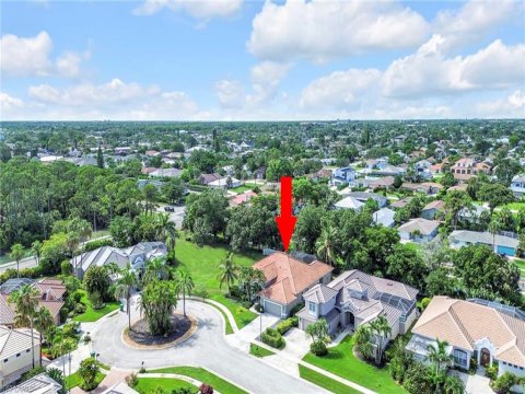 Casa Del Vida Naples Real Estate
