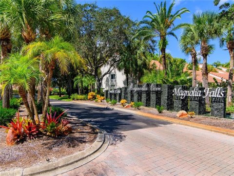 Falling Waters Naples Florida Real Estate
