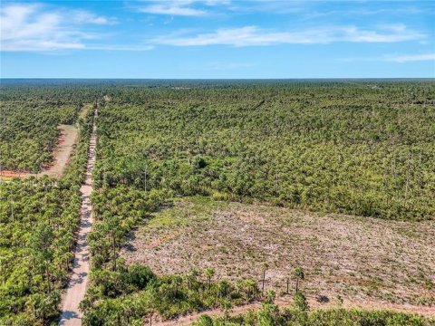 Golden Gate Estates Naples Real Estate