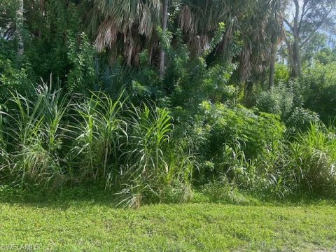 Hallendale Naples Florida Land for Sale