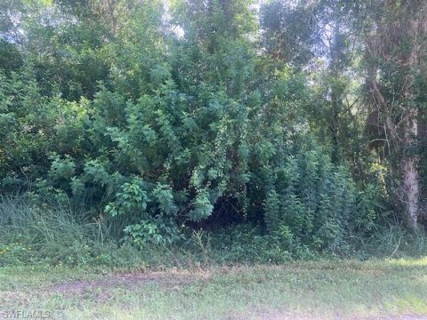 Hallendale Naples Real Estate