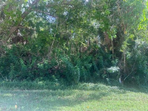 Hallendale Naples Real Estate