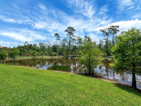 Hamilton Place Naples Florida Homes for Sale