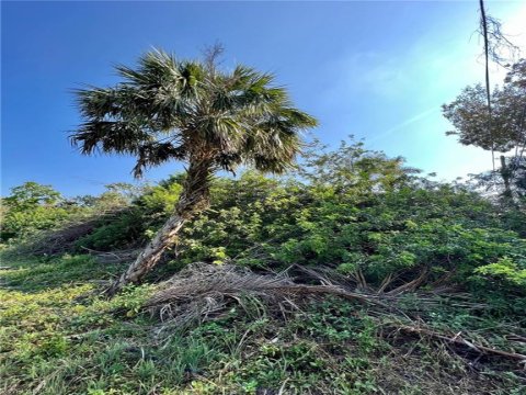 Heitmans Bonita Springs Florida Land for Sale