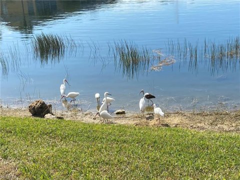 Imperial Golf Estates Naples Florida Real Estate