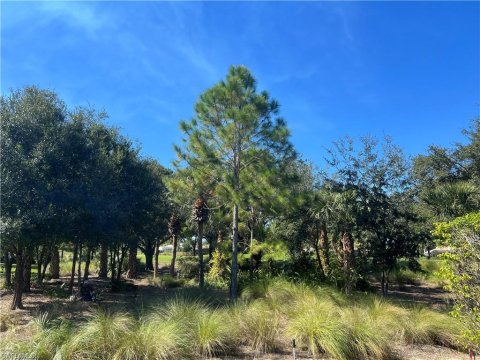 Kensington Naples Florida Real Estate