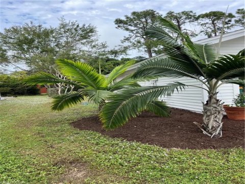 Kings Lake Real Estate