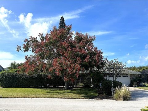 Lely Pine Hurst Estates Naples Florida Homes for Sale