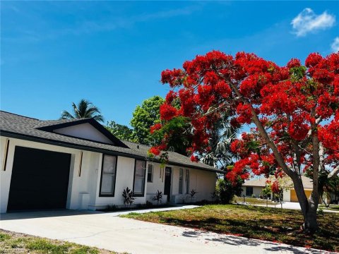 Lely Tropical Estates Naples Florida Real Estate