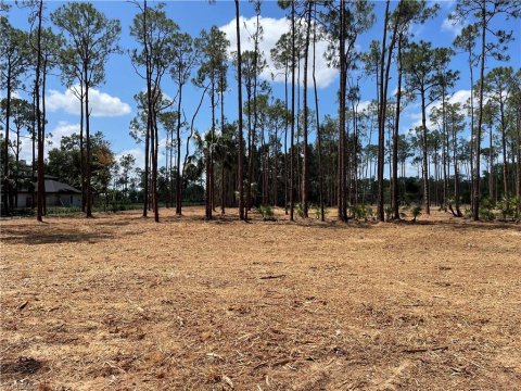 Livingston Woods Naples Florida Land for Sale