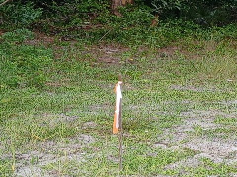 Naples Farm Sites Naples Florida Real Estate
