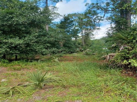 Naples Farm Sites Naples Real Estate