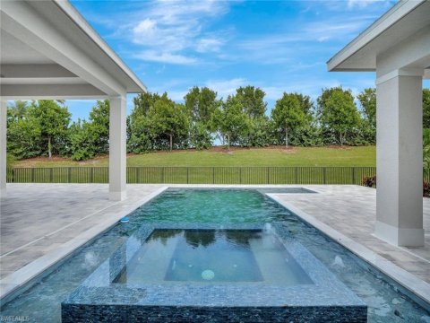 Naples Reserve Real Estate