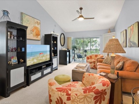 Palm River Naples Florida Condos for Sale