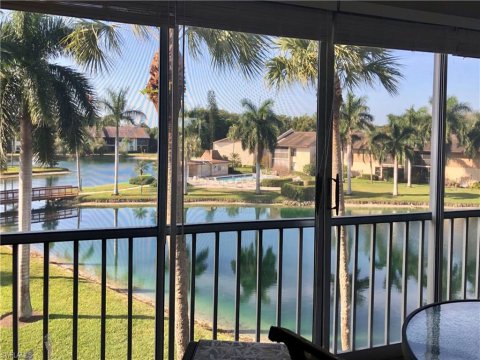 Palm River Naples Florida Real Estate
