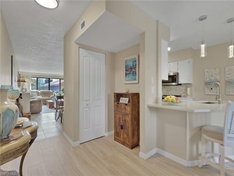 Palm River Naples Florida Real Estate