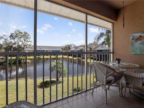 Palm River Naples Florida Real Estate