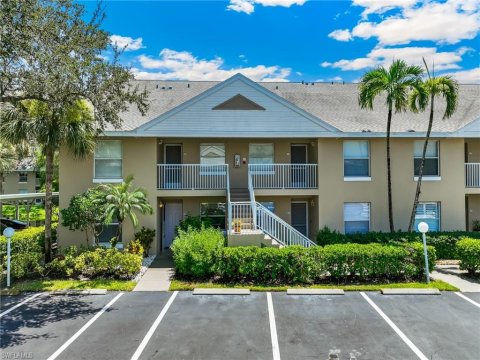 Palm River Naples Real Estate