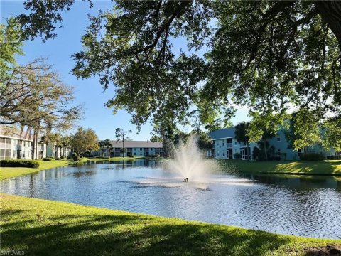 Palm River Naples Real Estate