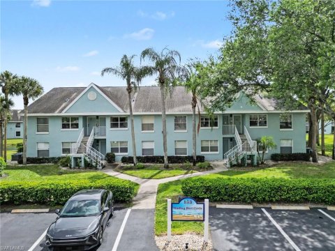 Palm River Naples Real Estate
