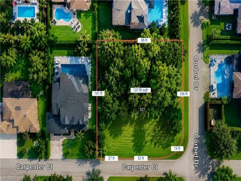 Palm River Naples Real Estate
