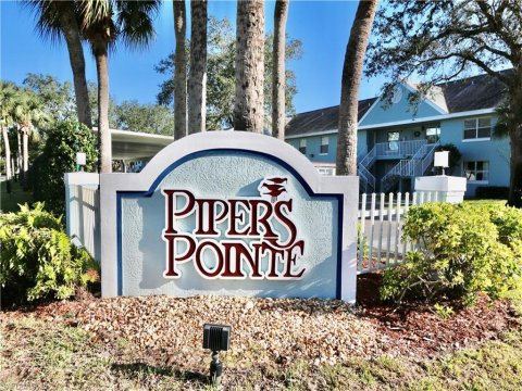 Palm River Real Estate