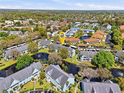 Palm River Real Estate