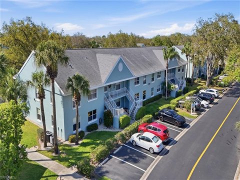 Palm River Real Estate