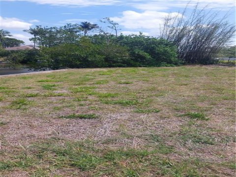 Palm River Shores Naples Florida Land for Sale