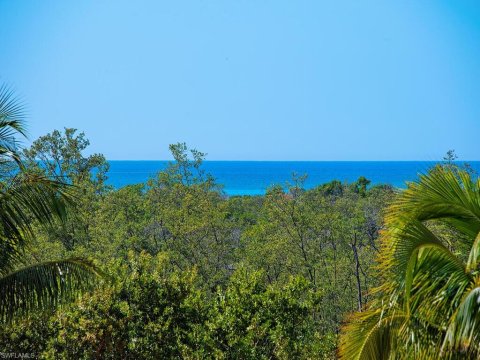 Pelican Bay Real Estate