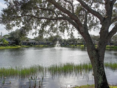 Pelican Landing Bonita Springs Florida Real Estate