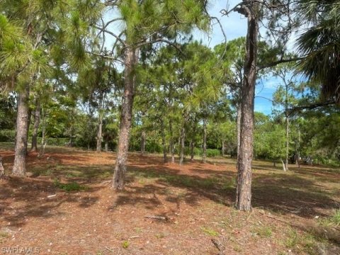 Pine Ridge Real Estate