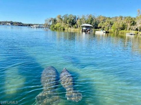 Port Of The Islands Naples Florida Real Estate