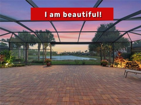 Preserve At Corkscrew Estero Florida Homes for Sale
