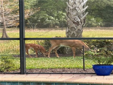 Preserve At Corkscrew Estero Florida Real Estate