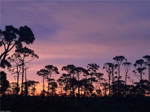 Quarterdeck Cove Estero Florida Homes for Sale