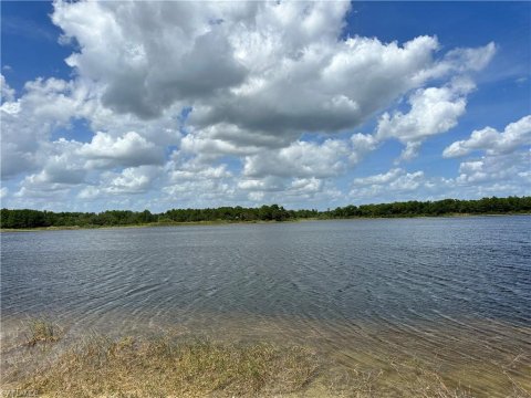 Saddlebrook Lakes Naples Real Estate