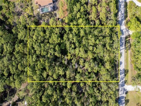 San Carlos Estates Real Estate