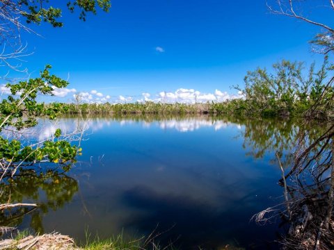 Sanibel Center Sanibel Real Estate